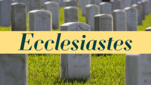 The Profit of Life Under the Sun